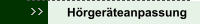 Hörgeräteanpassung