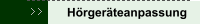 Hörgeräteanpassung